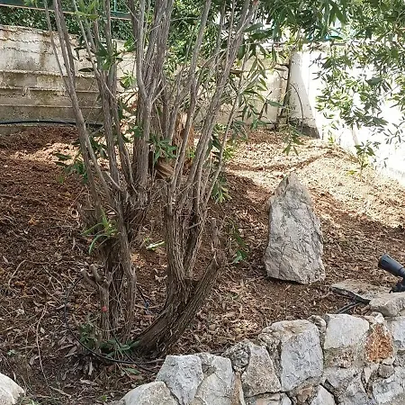 Terra Mare 3* Porto Heli