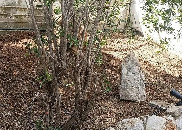 Terra Mare 3* Πόρτο Χέλι